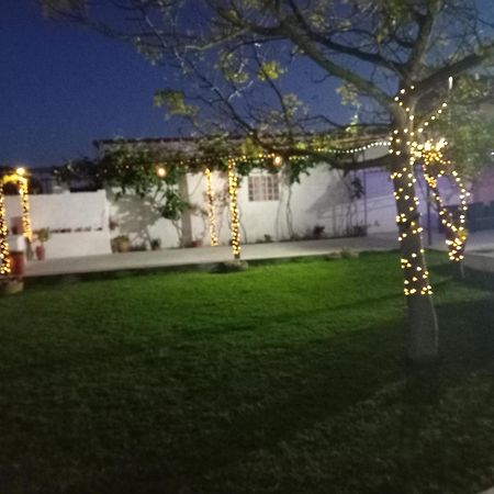 Casa Dos Avos Veras Αβέιρο Εξωτερικό φωτογραφία